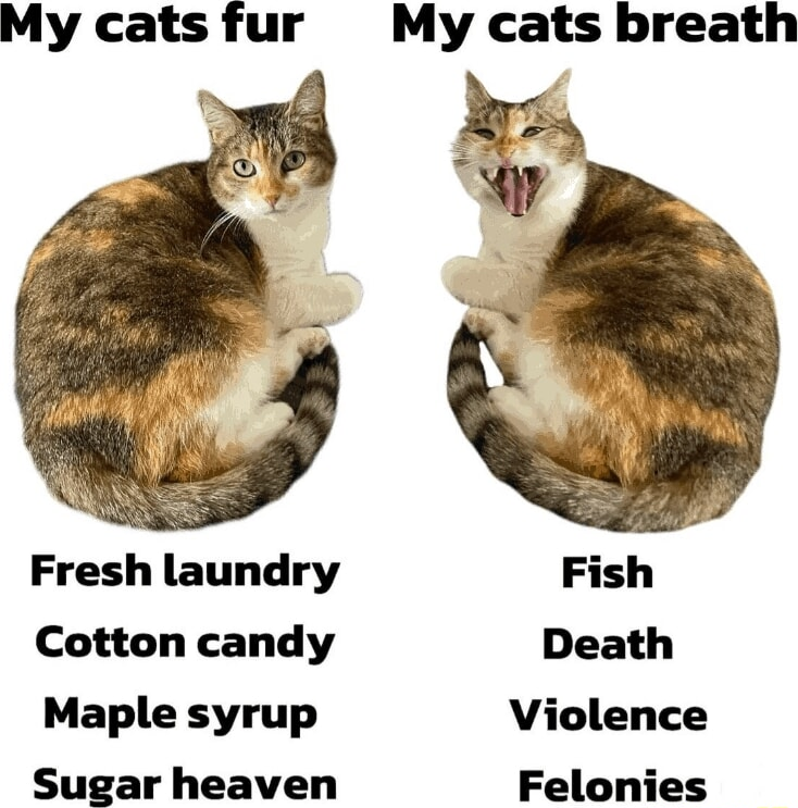 ​​​