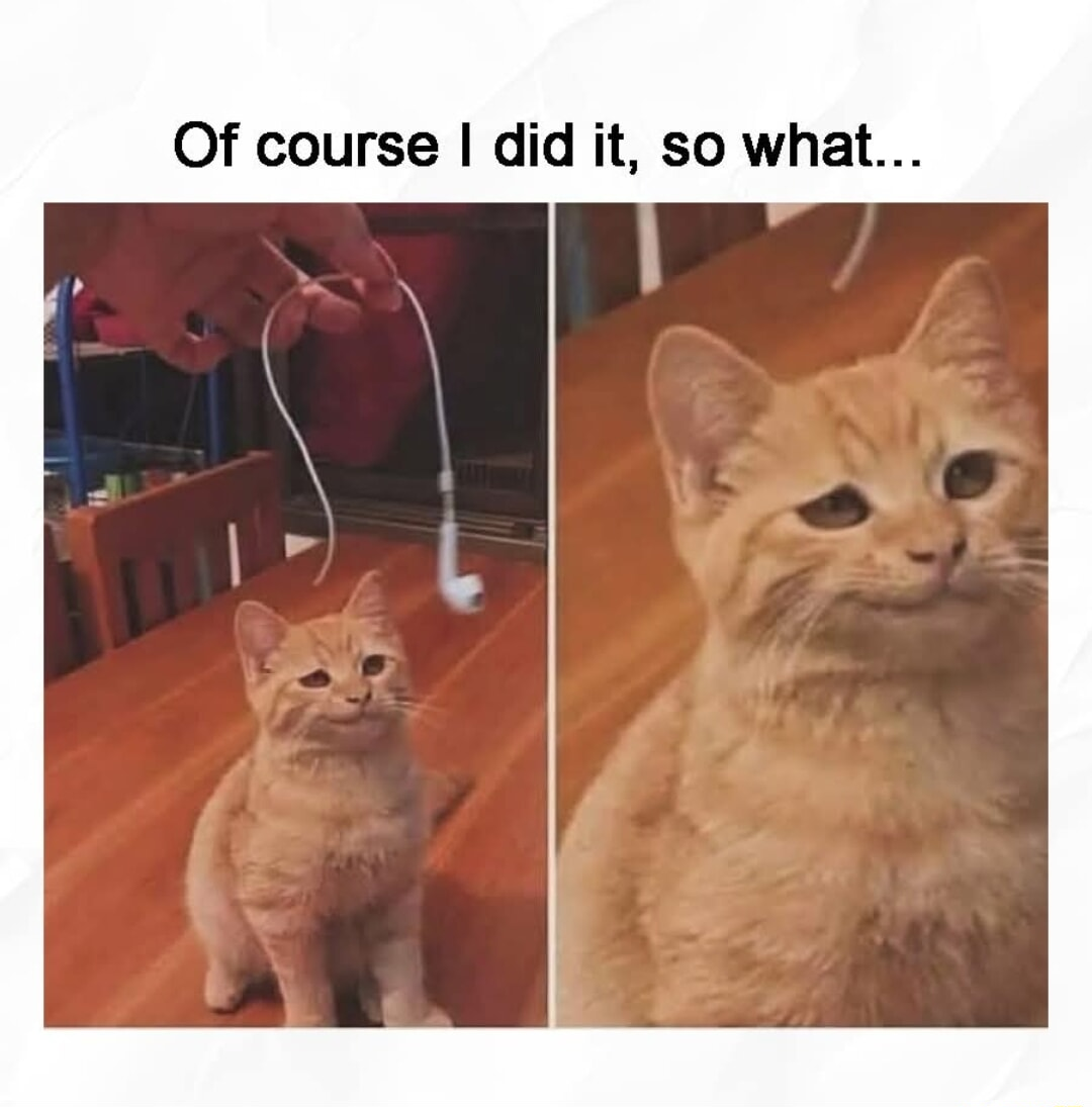 ​​​