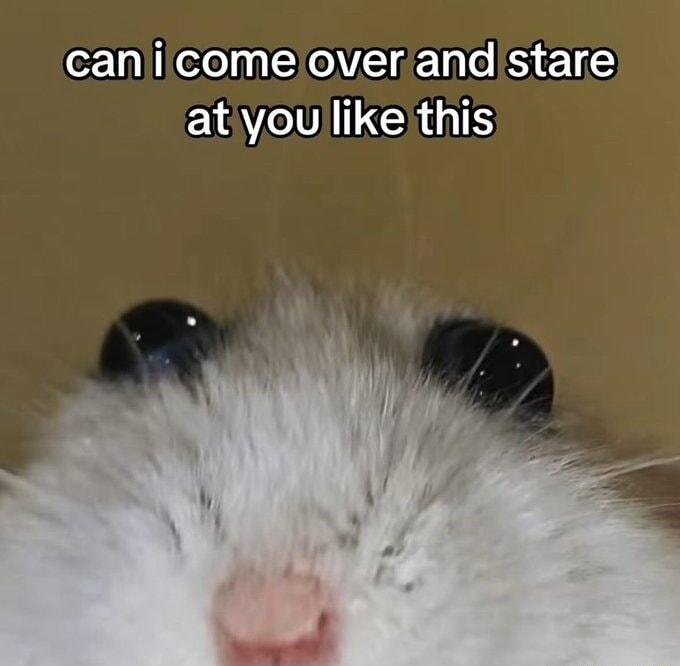 ​​​