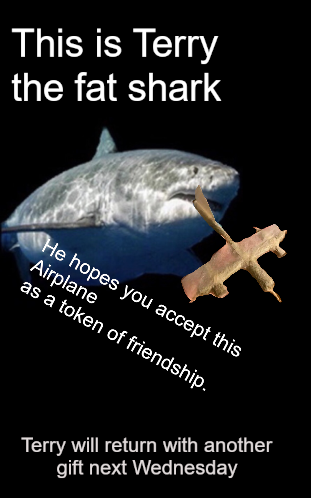 ​​​