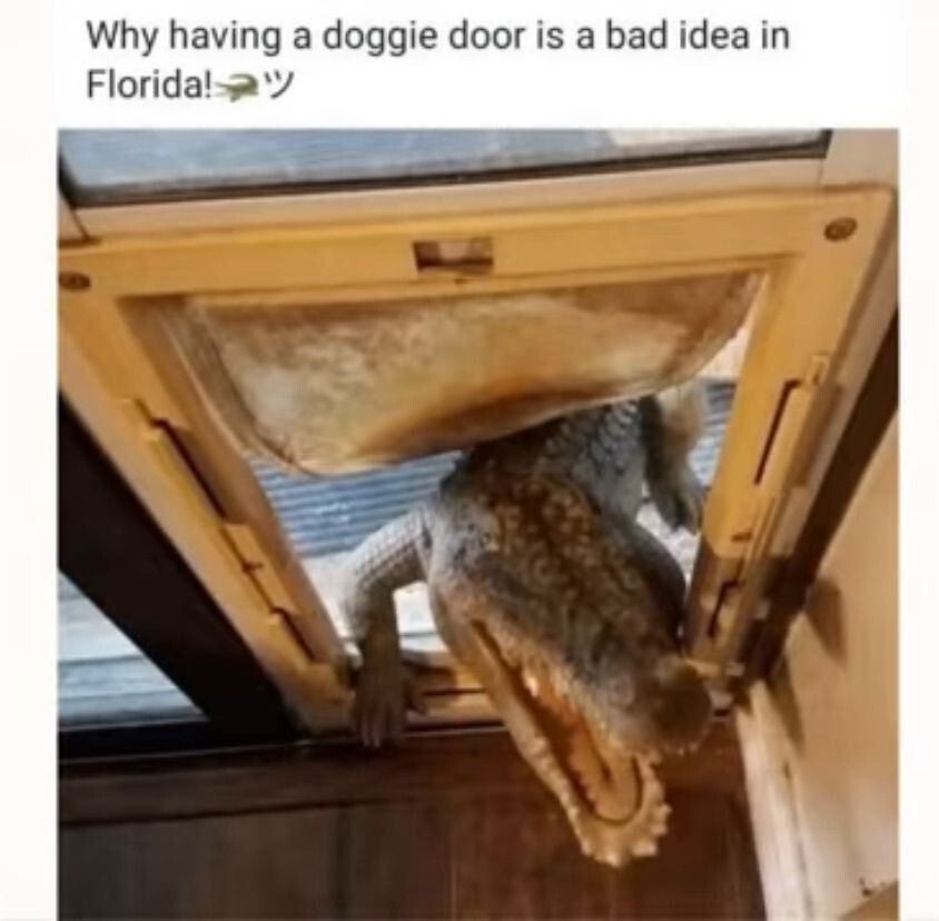 Excuse me, I think you meant to say "great idea"