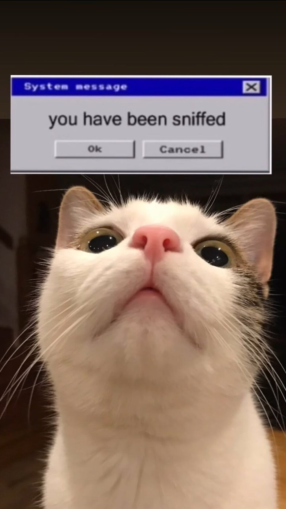 ​​​