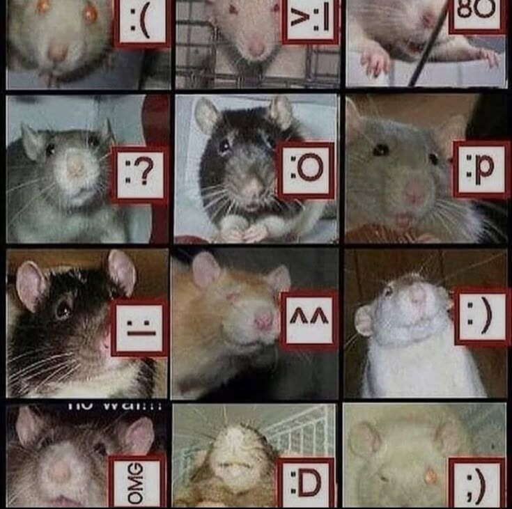 ​​​