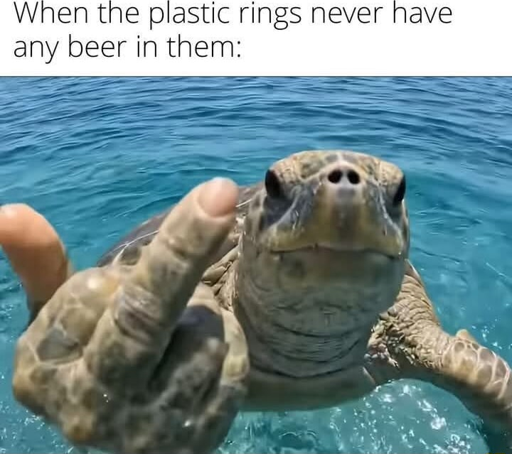 ​​​