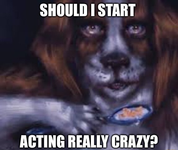 ​​​