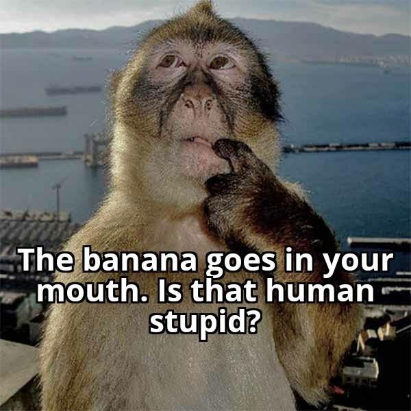 ​​​