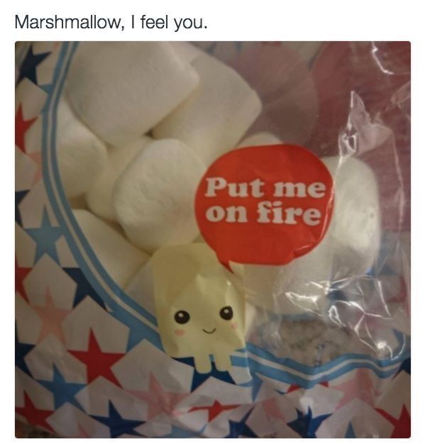 Breh
