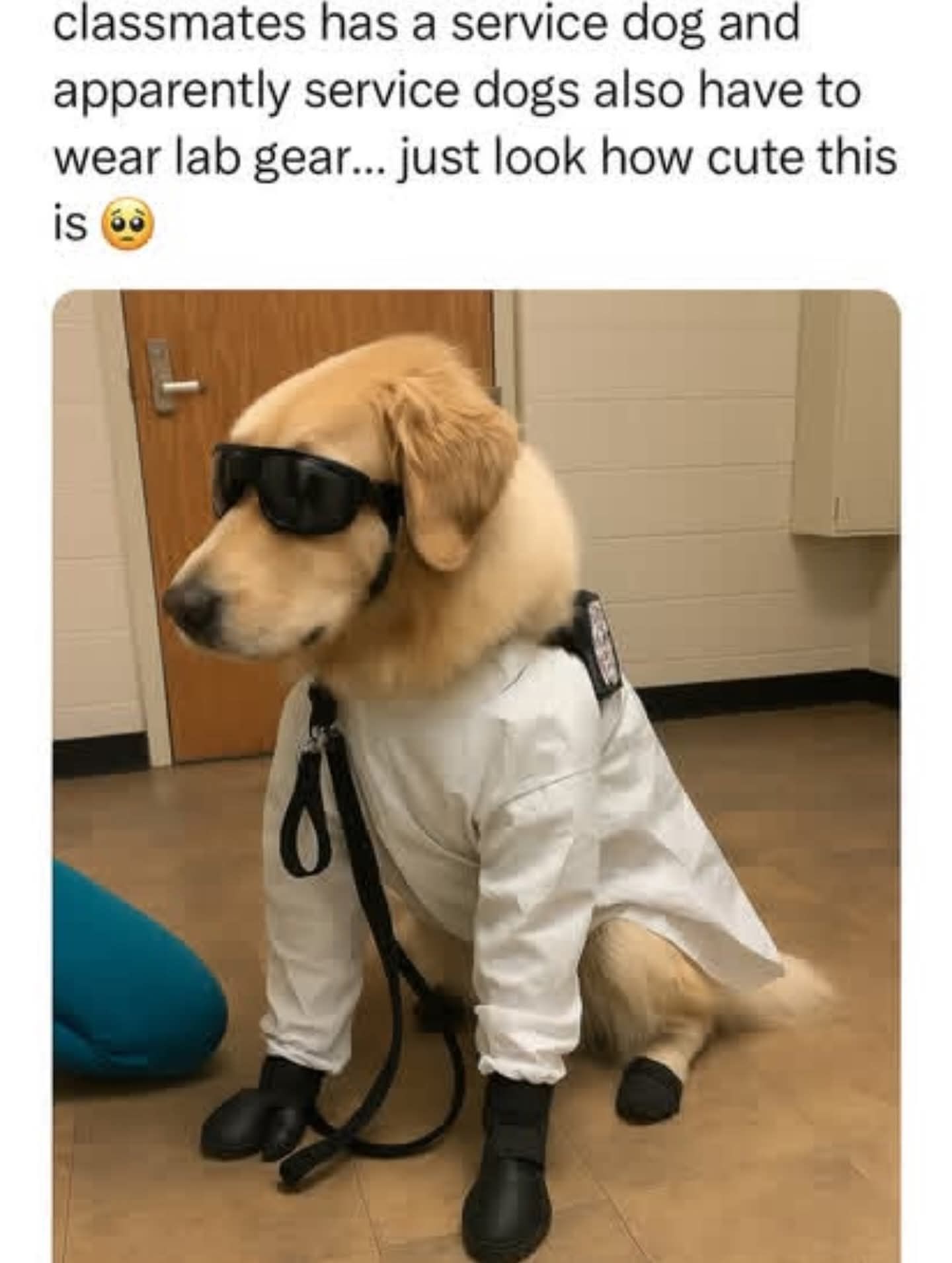 Science expert