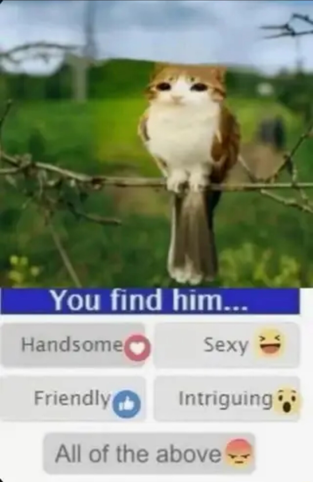 ​​​