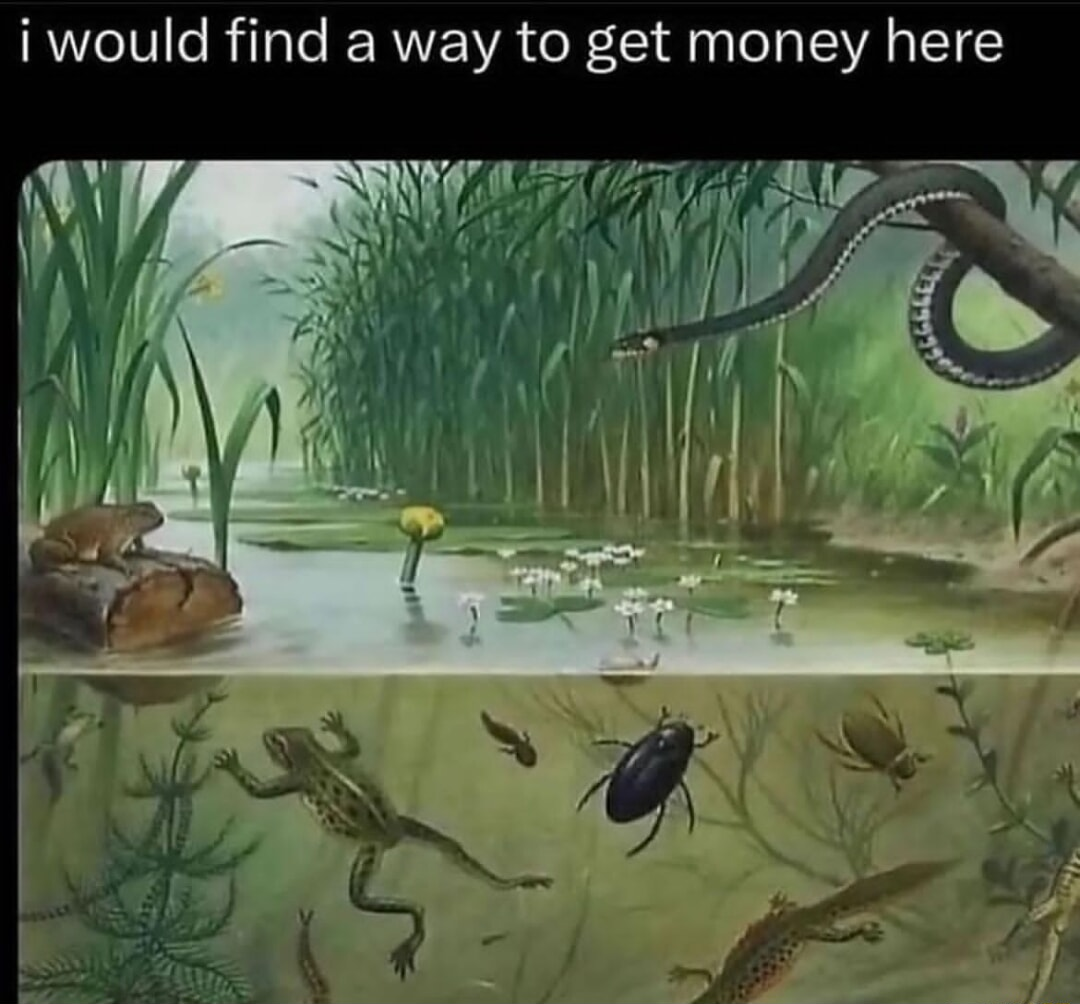 ​​​