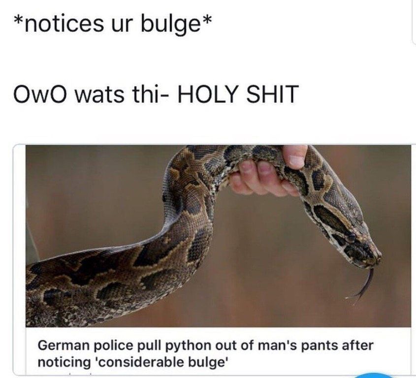 That's just my trouser snake