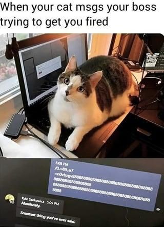 ​​​