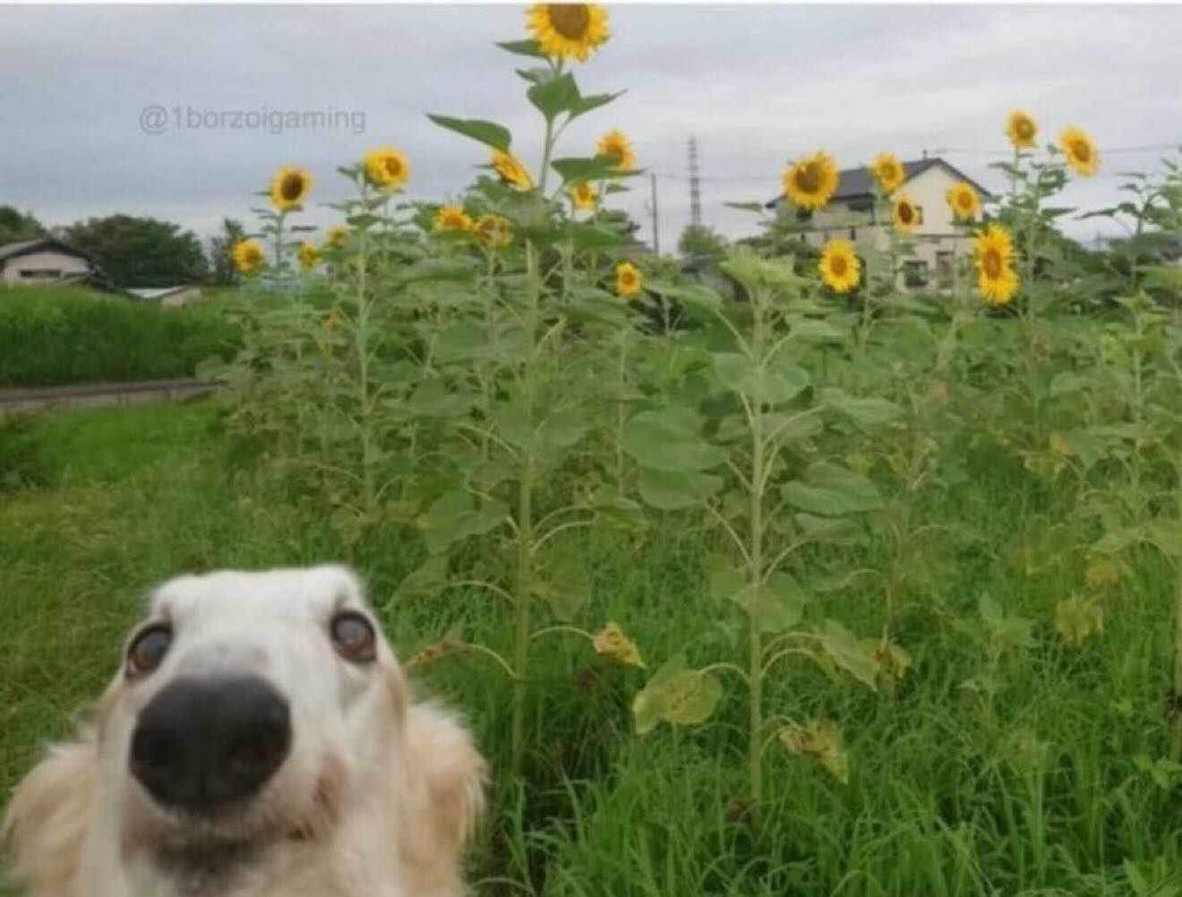 Every decision in your life has led you to see this picture now (you're welcome)