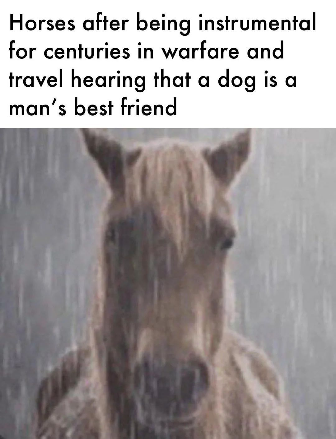 Breh