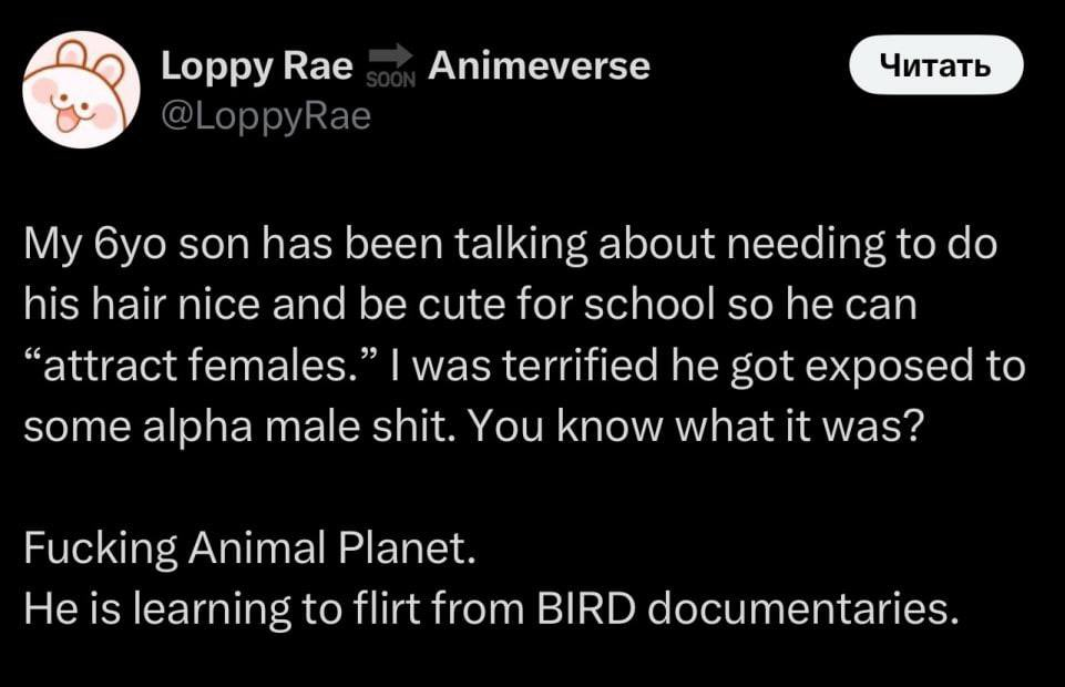 Animal Planet - Raising alphas since 1996