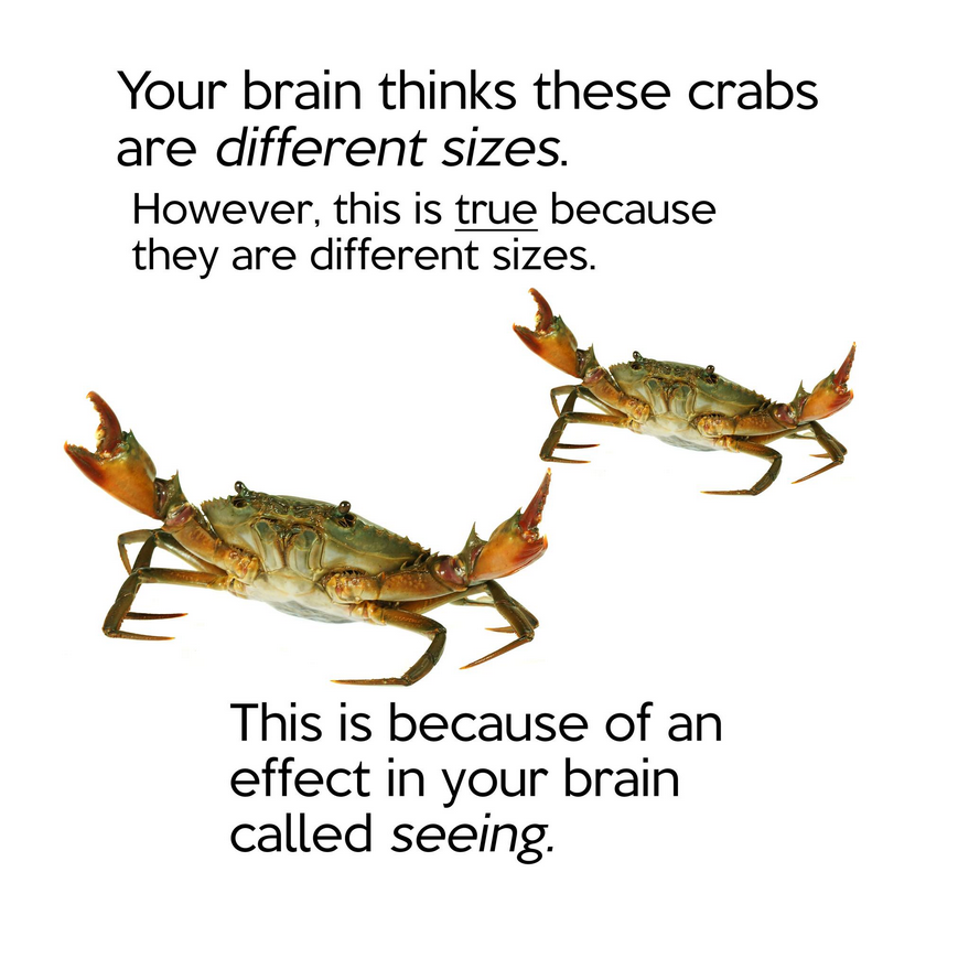 Breh