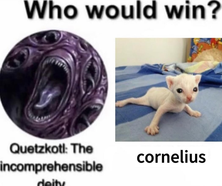 ​​​