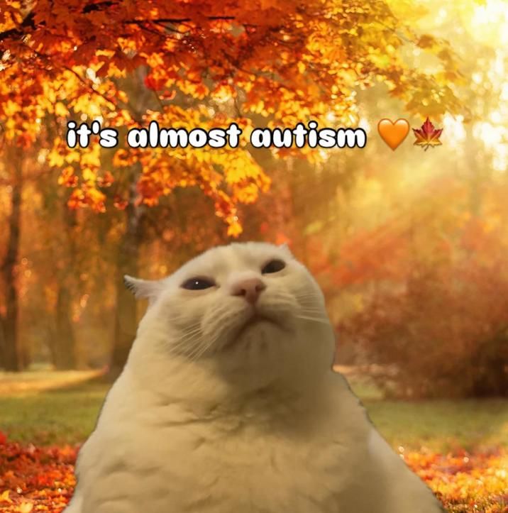 ​​​