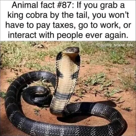 ​​​