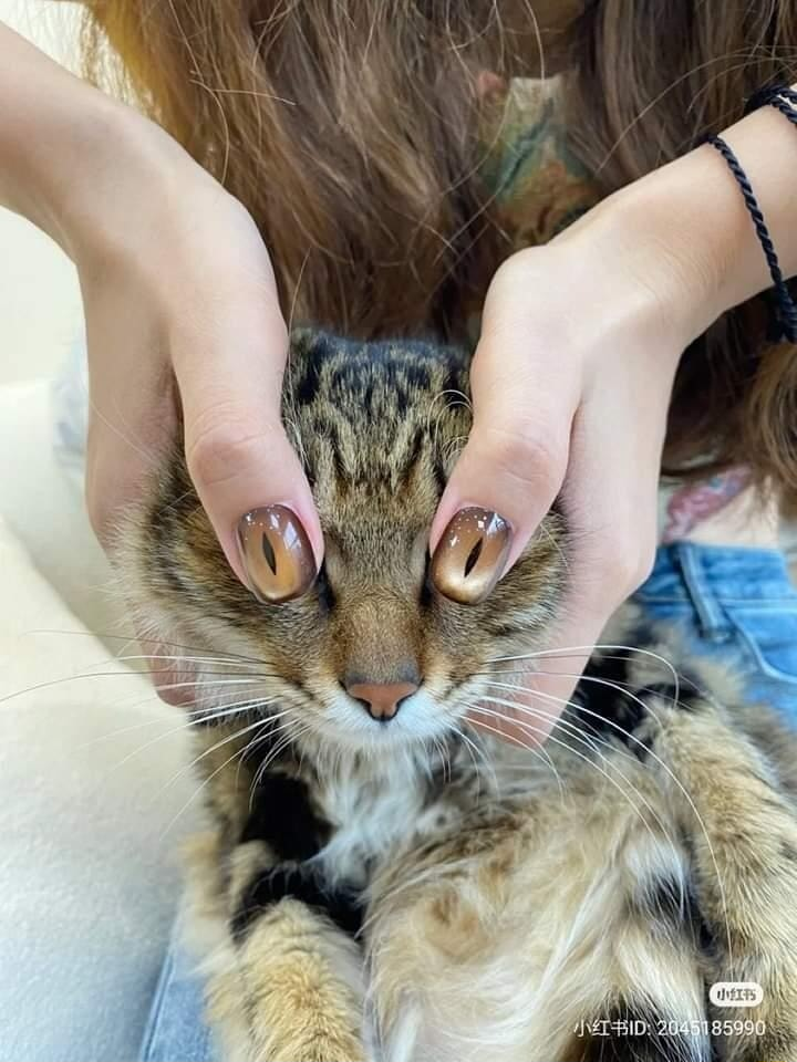 ​​​