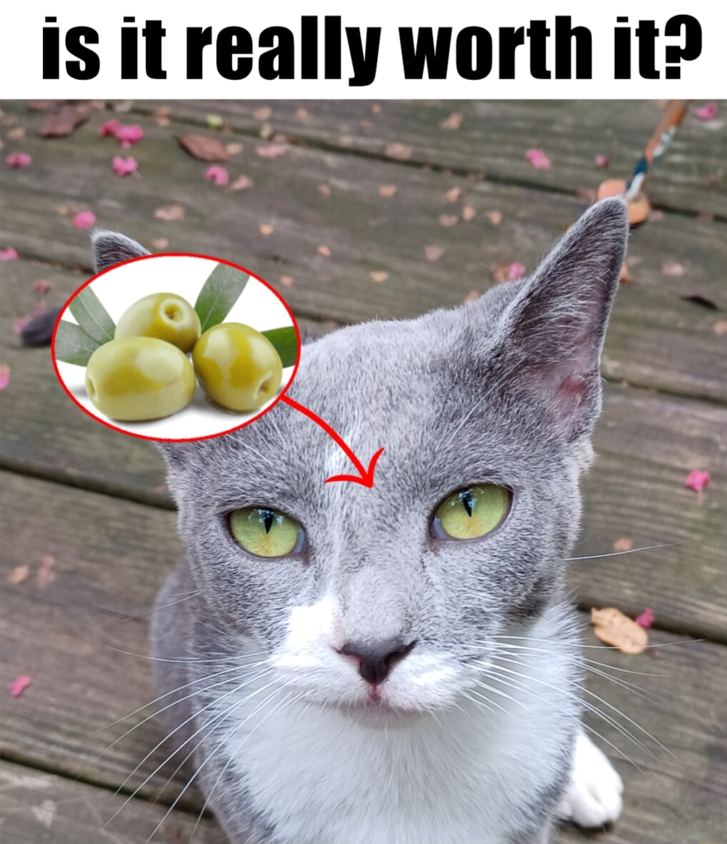 ​​​