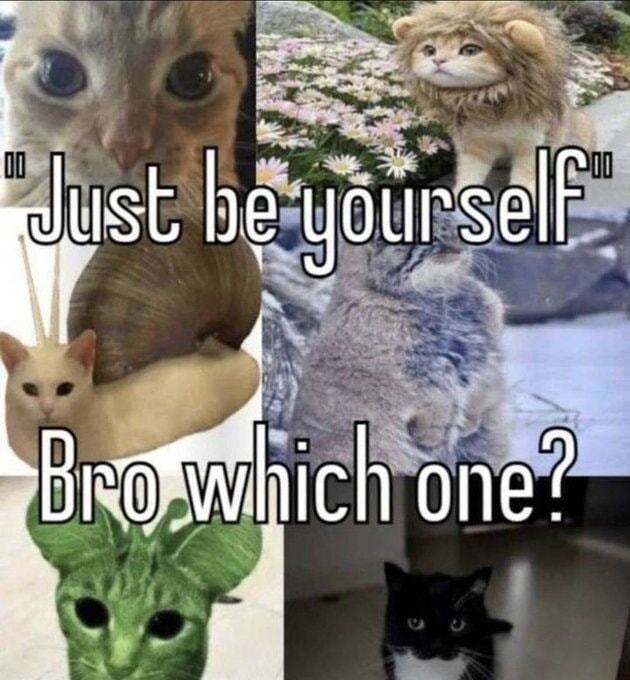 ​​​