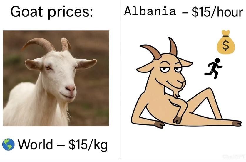 Bargain