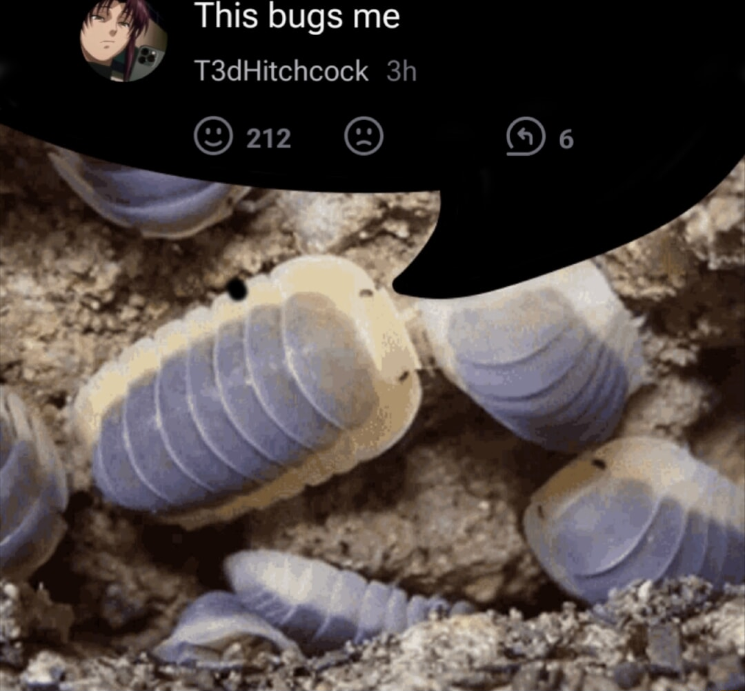 ​​​