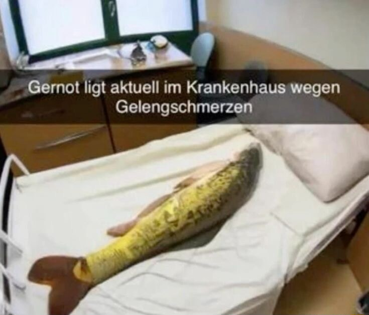 ​​​