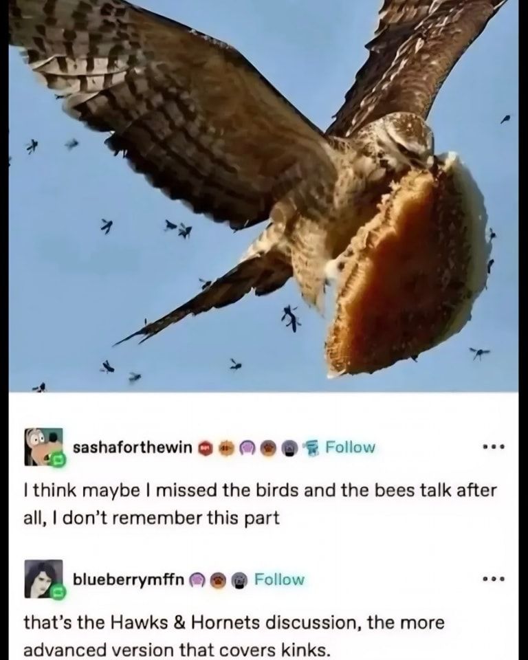 Breh