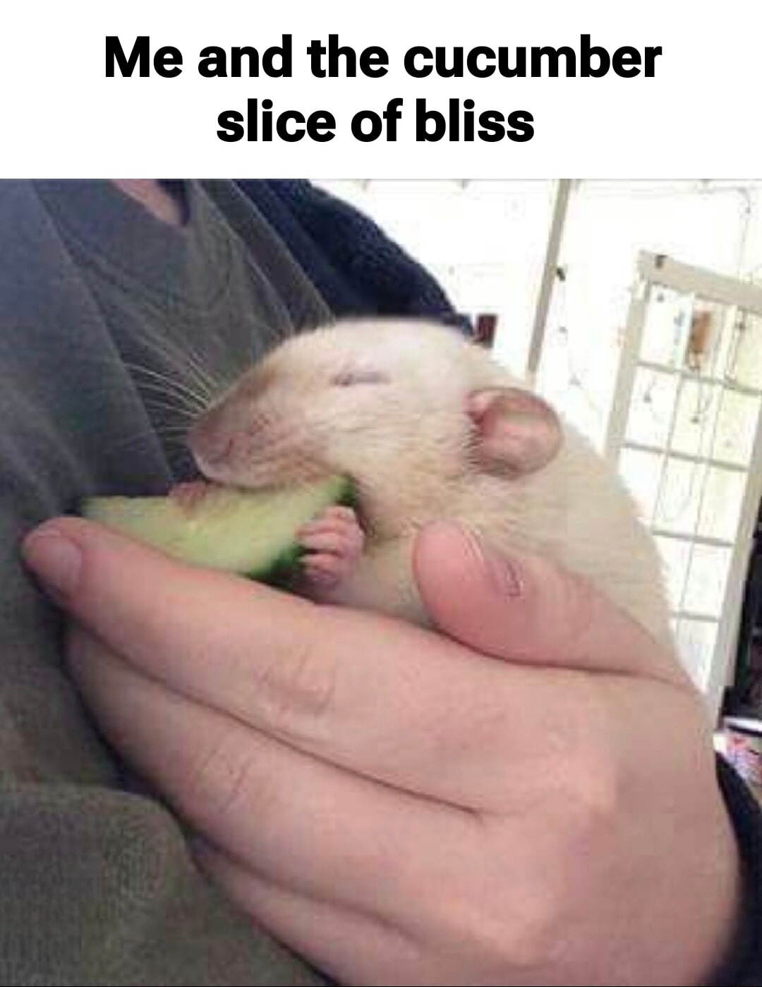 ​​​