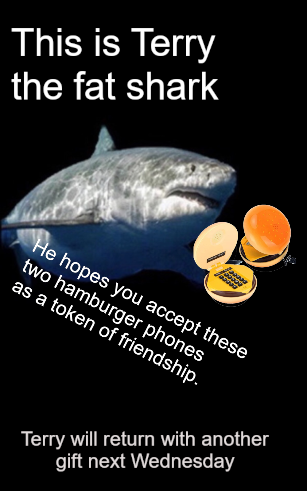 ​​​