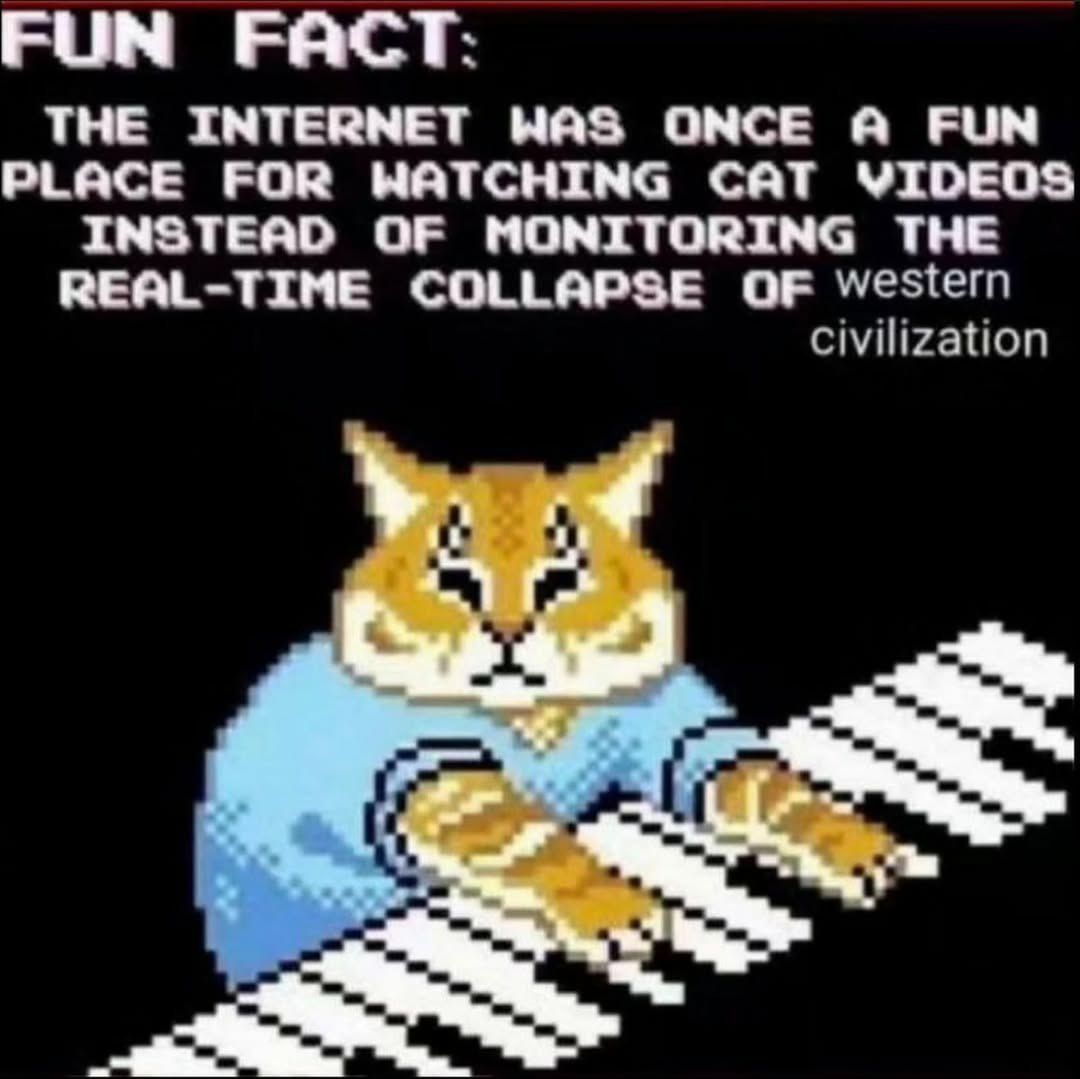 Real fun