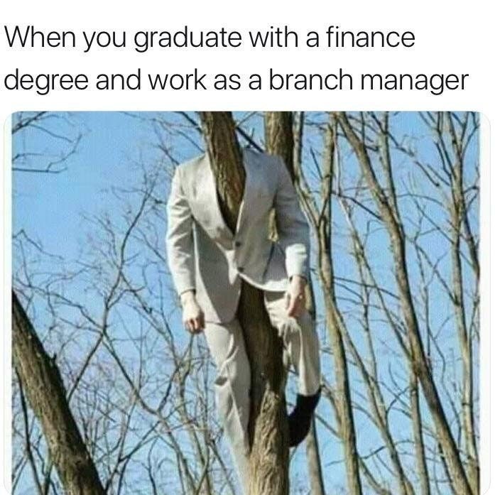 He's really good at making decision trees
