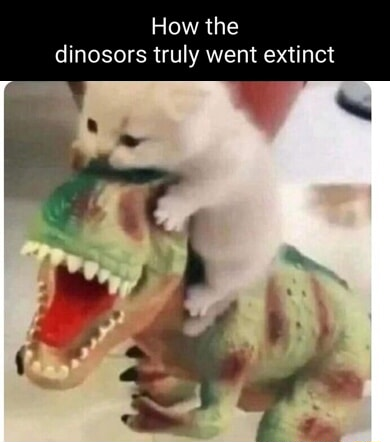 ​​​