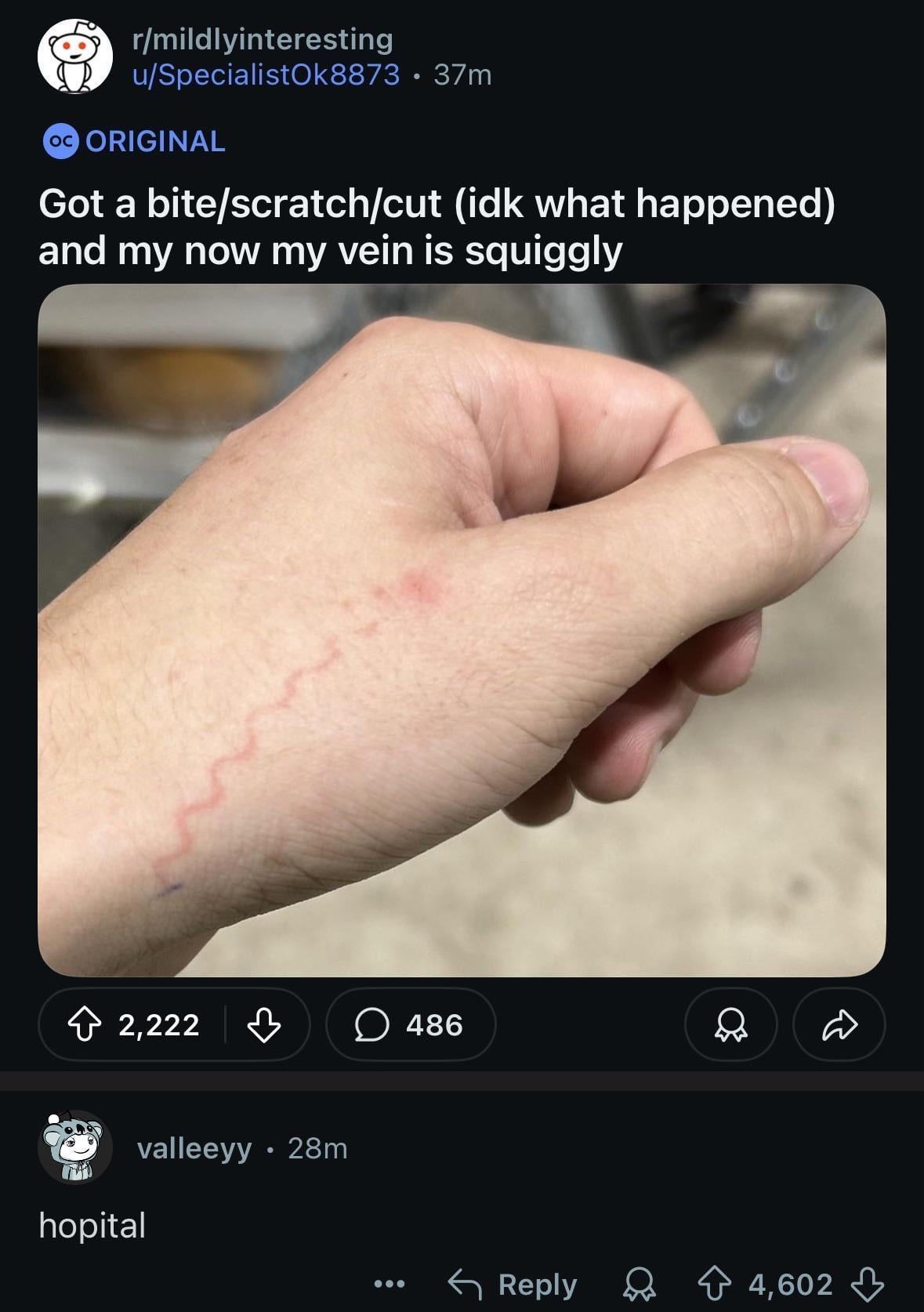 Breh