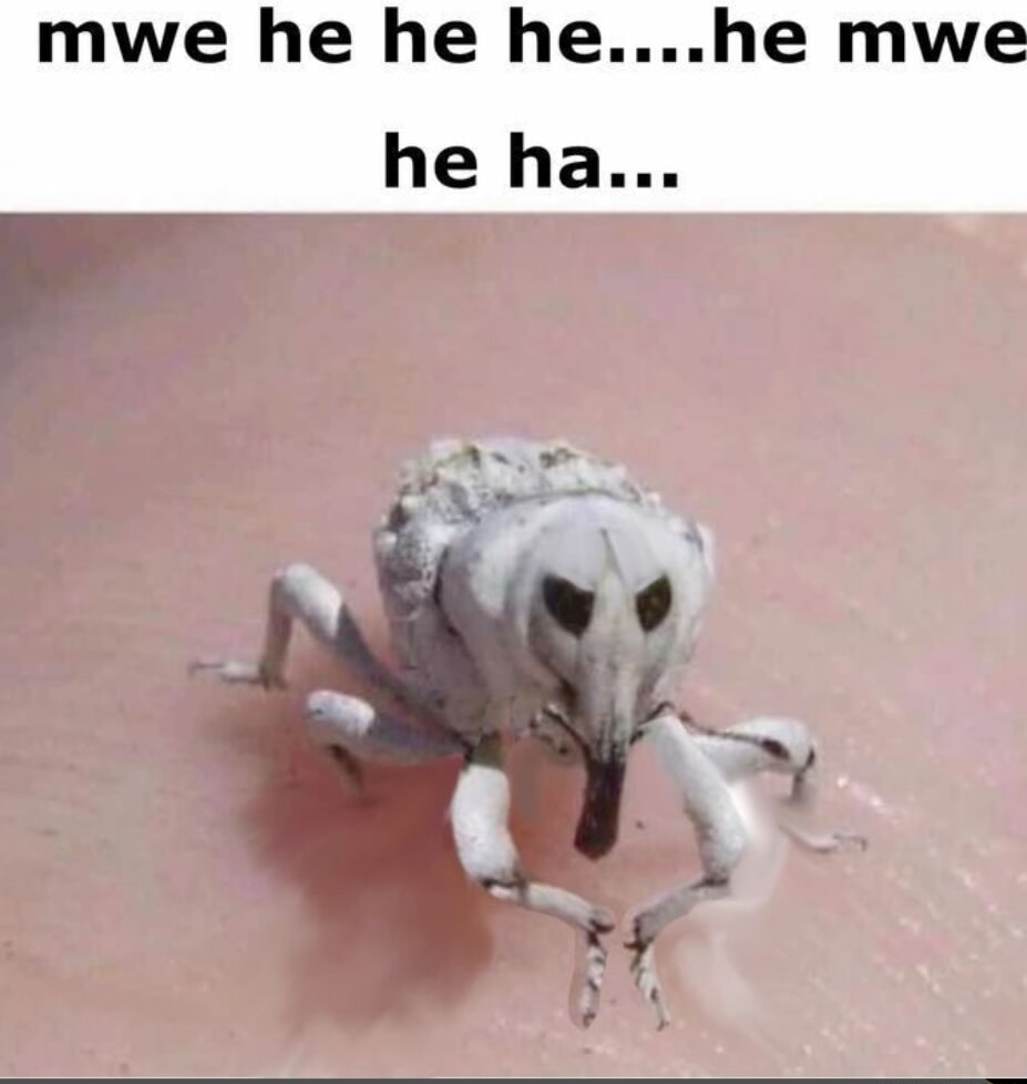 ​​​