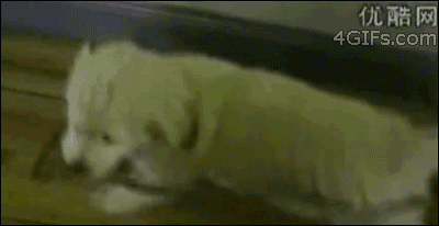 Nope...