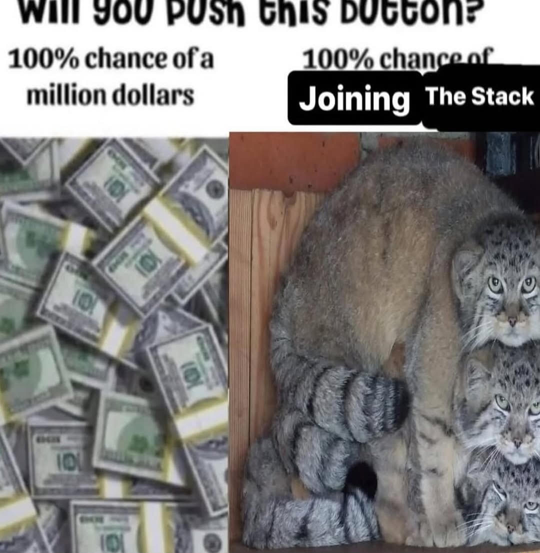 ​​​