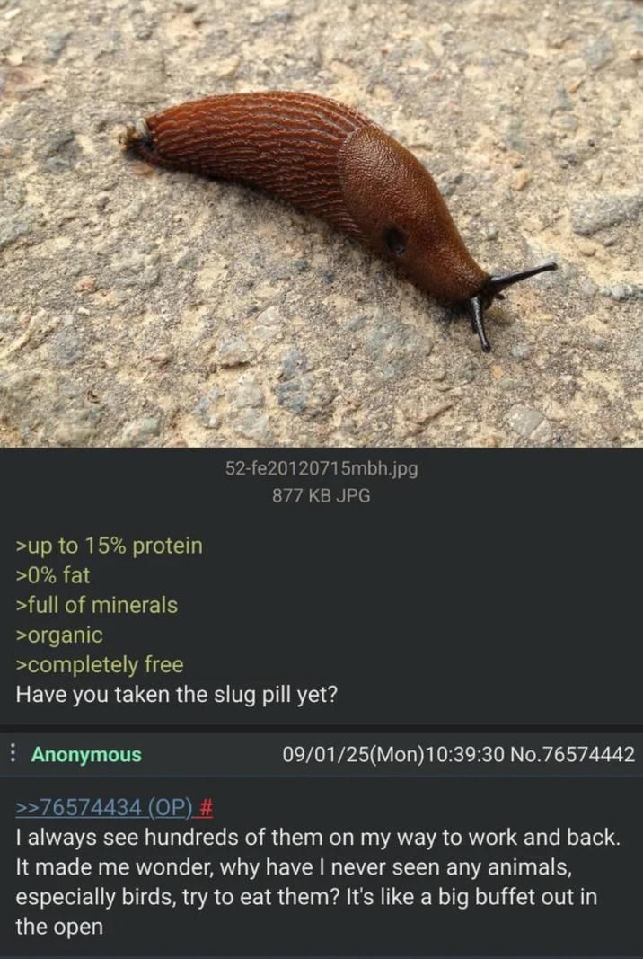 ​​​