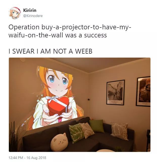 Premium weeb behavior