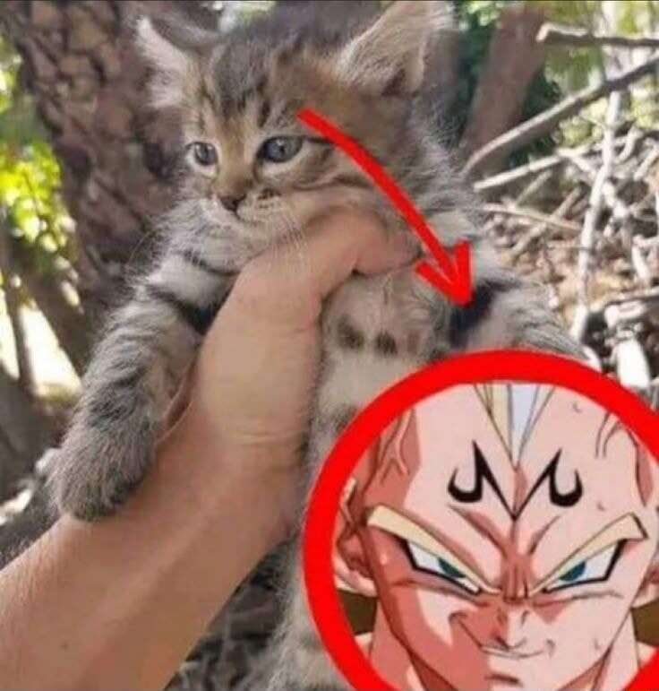 ​​​