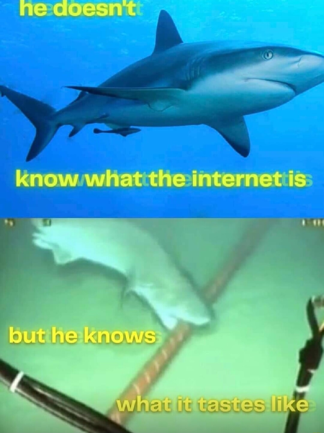​​​