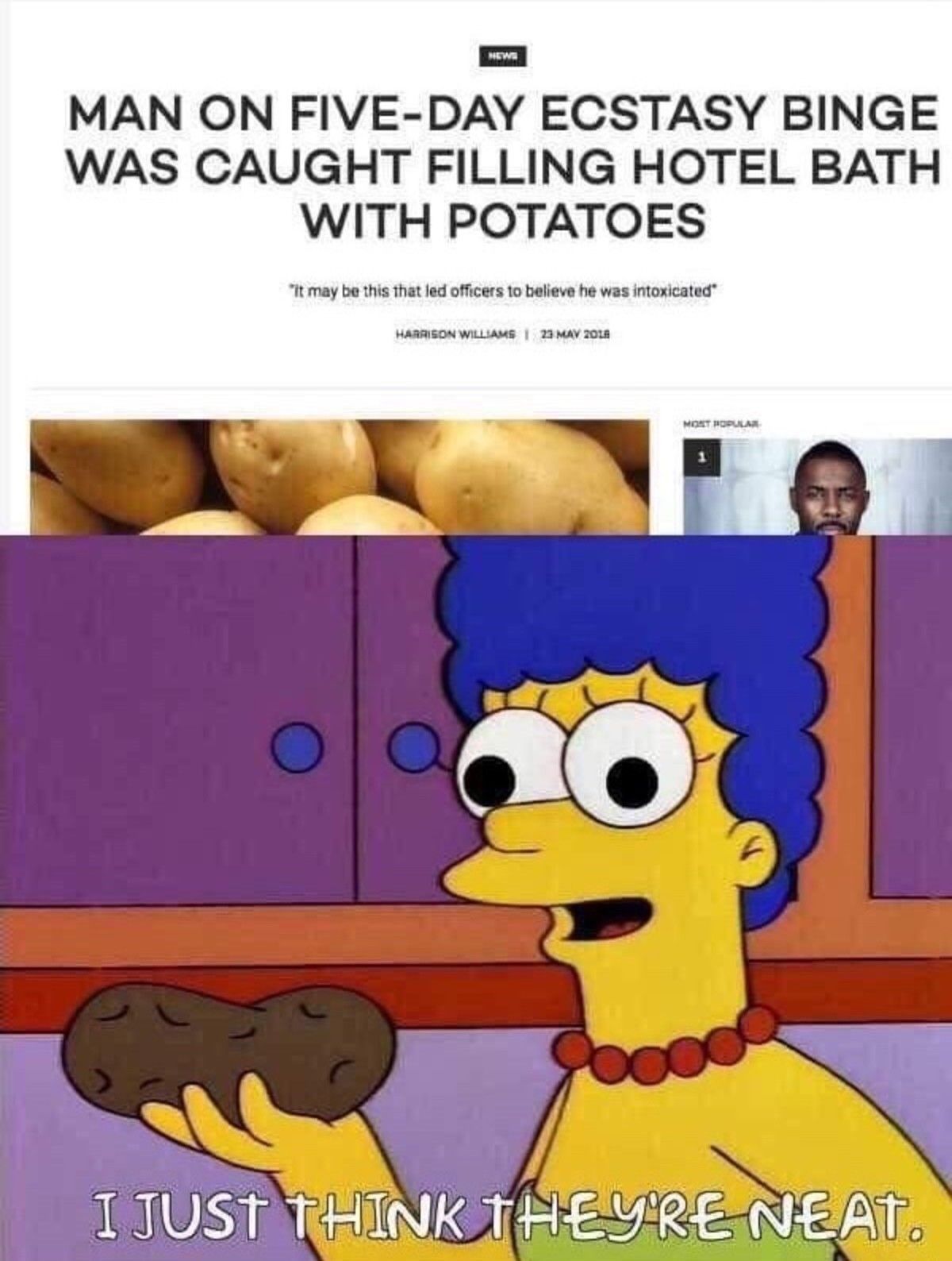 N E A T