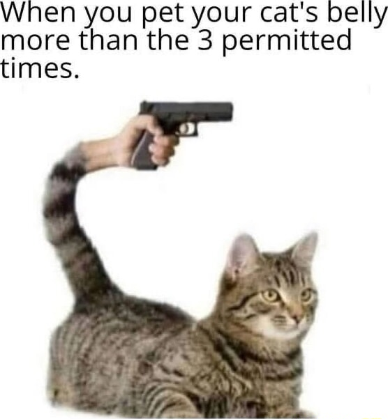 ​​​