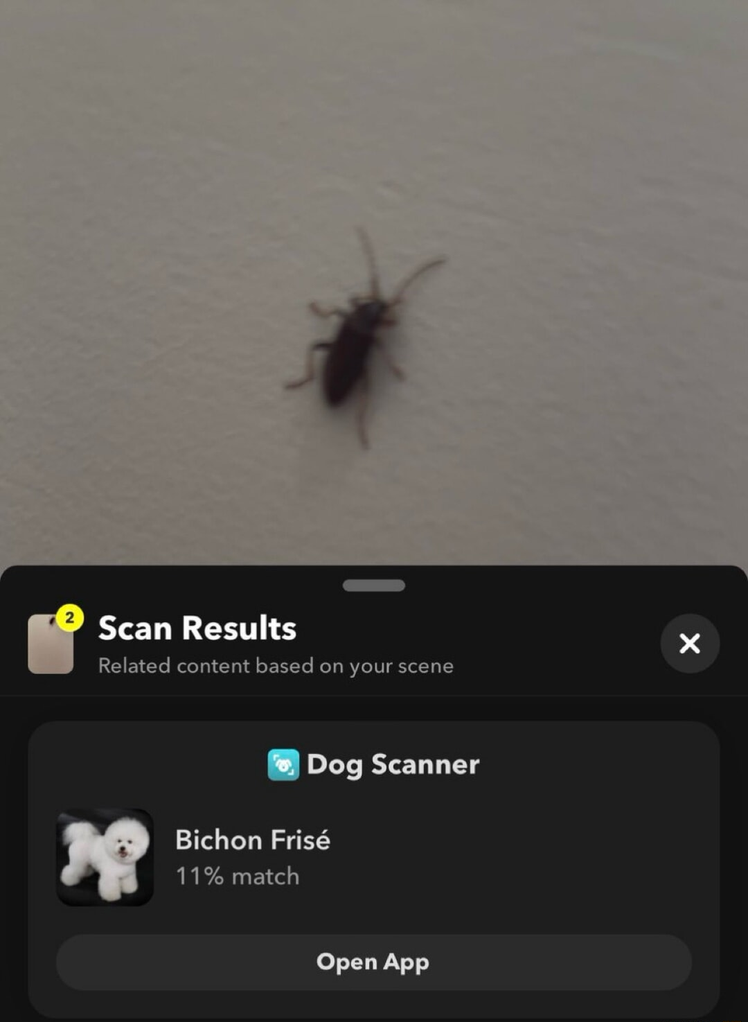 ​​​