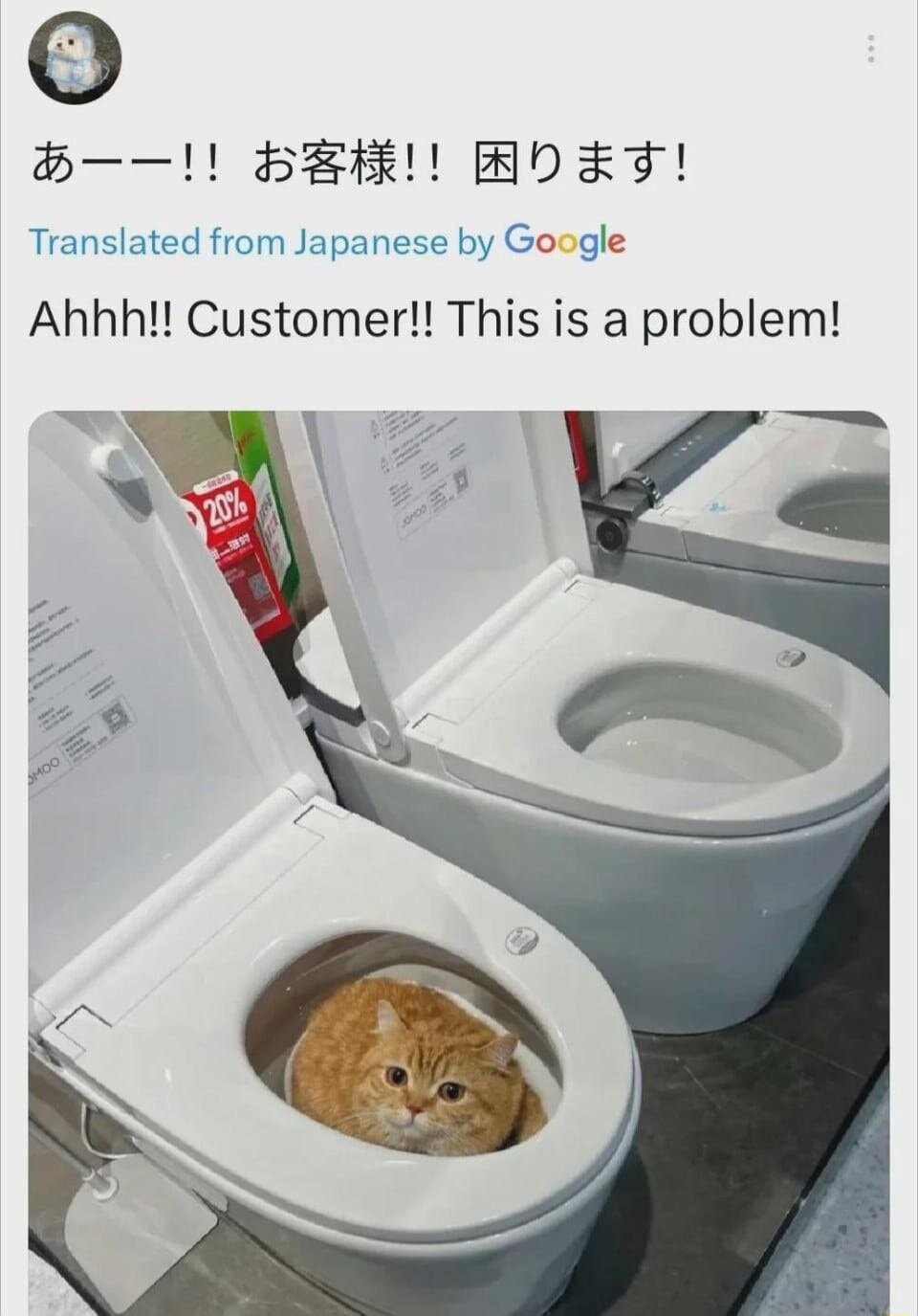 ​​​