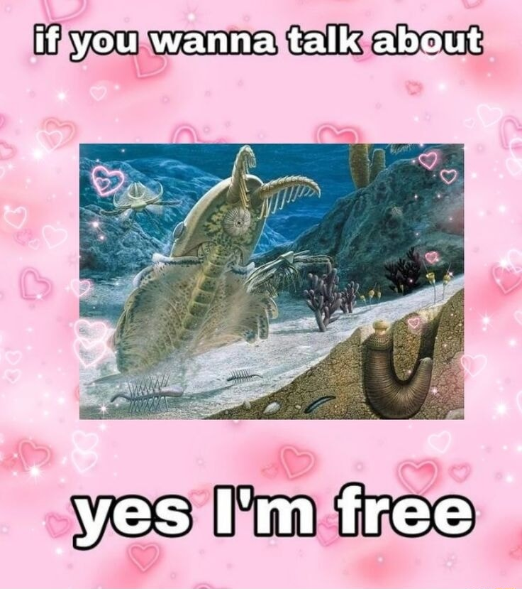 ​​​