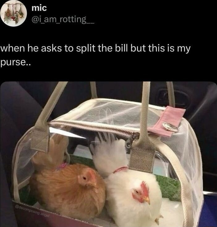 ​​​