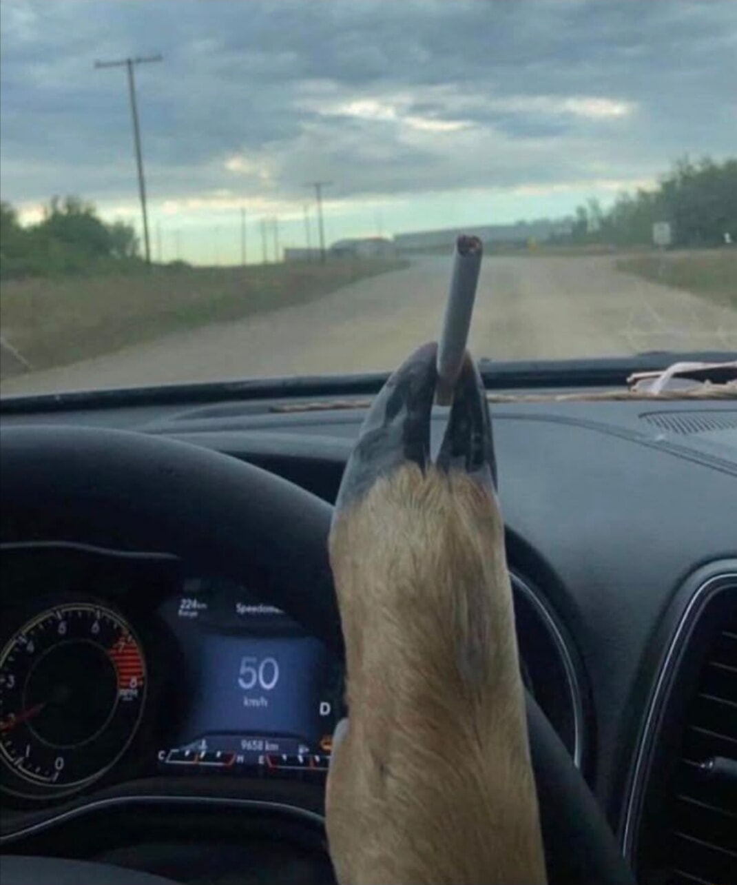 ​​​